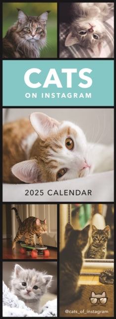 Cats on Instagram Slim Calendar 2025-5020211305171