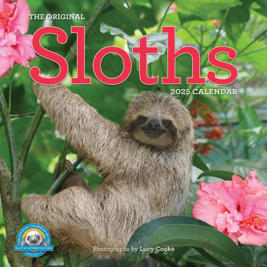 Original Sloths Wall Calendar 2025 : The Ultimate Experts at Slowing Down-9781523524822