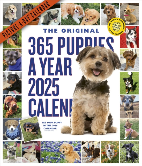 365 Puppies-A-Year Picture-A-Dayr Wall Calendar 2025-9781523524914