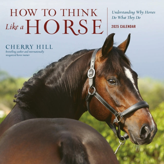 How to Think Like a Horse Wall Calendar 2025 : Understanding Why Horses Do What They Do-9781523524976