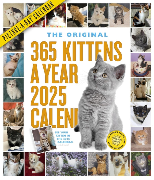 365 Kittens-A-Year Picture-A-Dayr Wall Calendar 2025-9781523525218