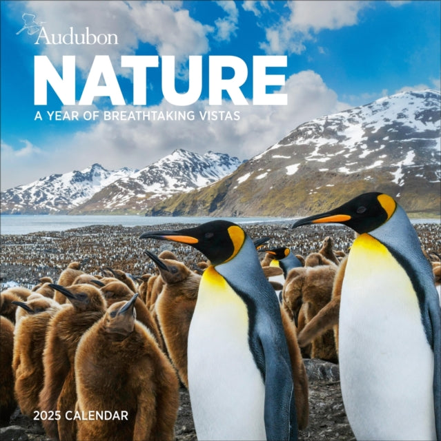 Audubon Nature Wall Calendar 2025 : A Year of Breathtaking Vistas-9781523526307