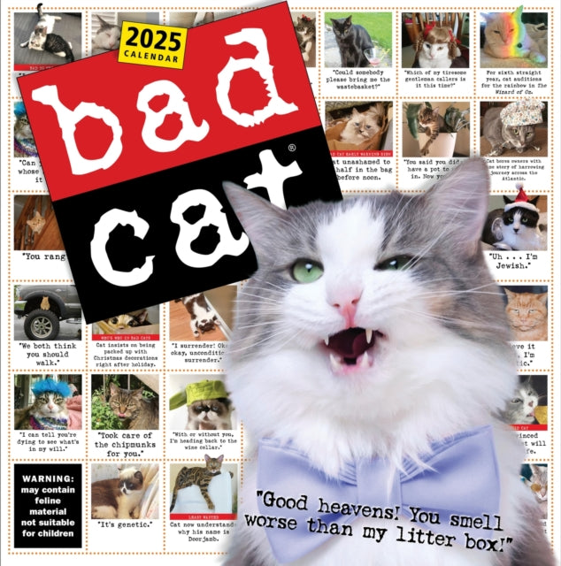 Bad Cat Wall Calendar 2025 : Celebrating the Misfits of the Feline World-9781523526321