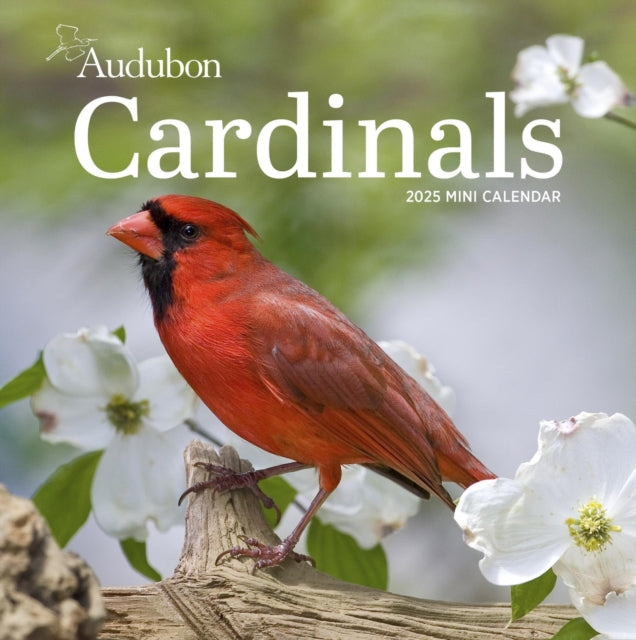 Audubon Cardinals Mini Wall Calendar 2025-9781523526574