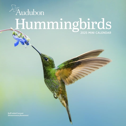 Audubon Hummingbirds Mini Wall Calendar 2025-9781523526611