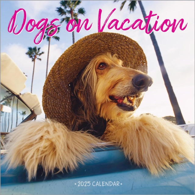 Dogs on Vacation Wall Calendar 2025-9781523526673