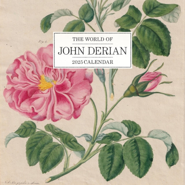 The World of John Derian Wall Calendar 2025-9781523526895