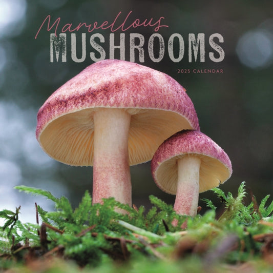 Marvellous Mushrooms Square Wall Calendar 2025-9781529812824