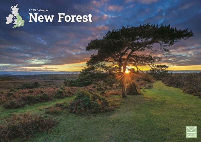 New Forest A4 Calendar 2025-9781529840278