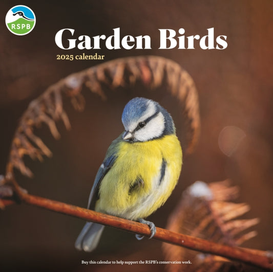 RSPB Garden Birds Square Wall Calendar 2025-9781529841503