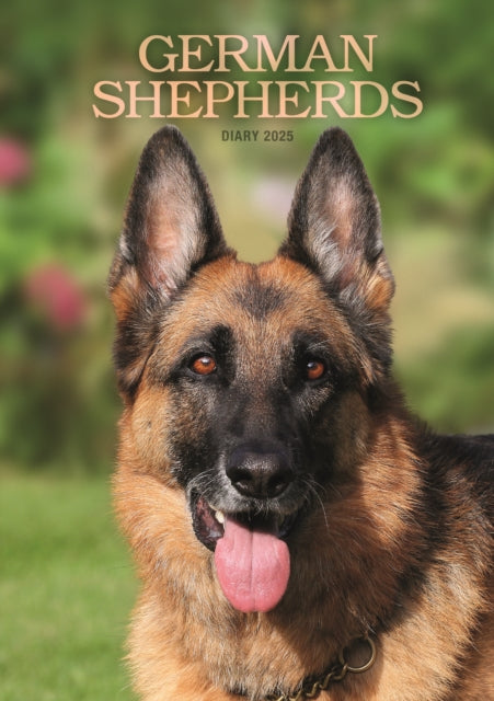 German Shepherds A5 Diary 2025-9781529845549