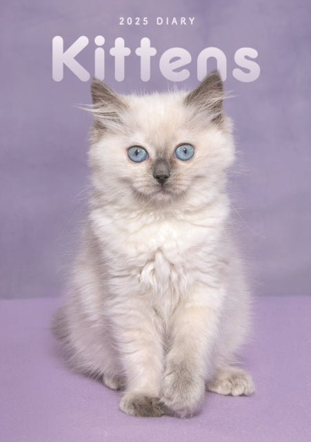 Kittens A5 Diary 2025-9781529845556