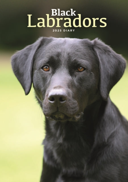 Labrador Retrievers Black A5 Diary 2025-9781529845587