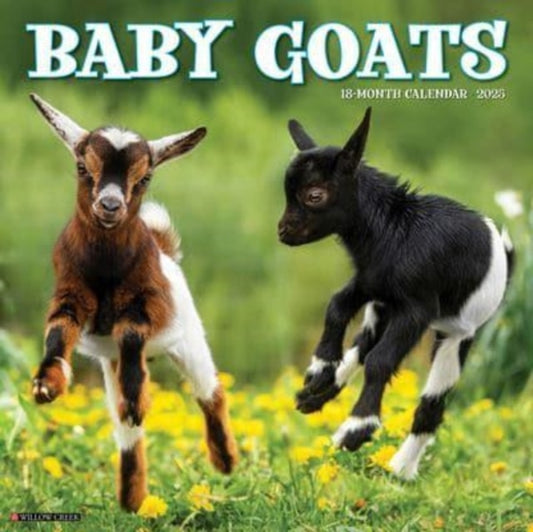 Baby Goats 2025 12 X 12 Wall Calendar-9781549241536