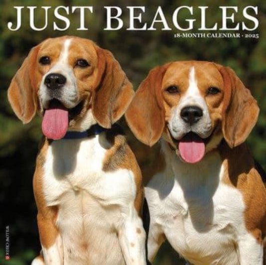 Just Beagles 2025 12 X 12 Wall Calendar-9781549241666