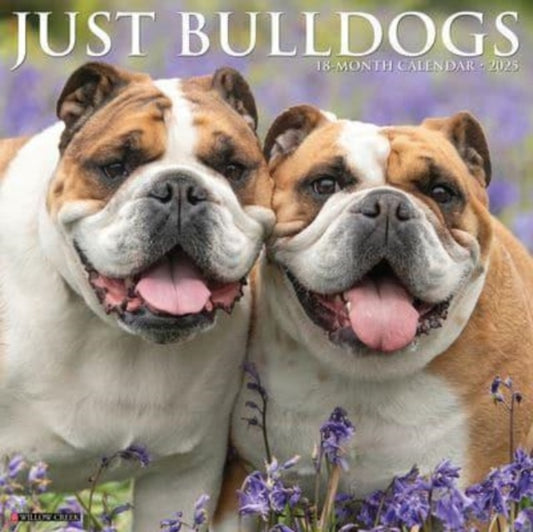 Just Bulldogs 2025 12 X 12 Wall Calendar-9781549242038