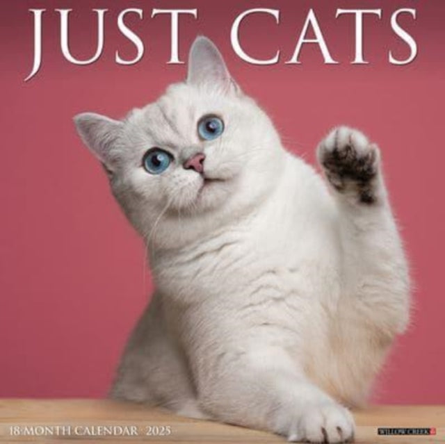 Just Cats 2025 12 X 12 Wall Calendar-9781549242236