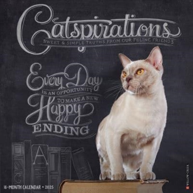 Catspirations 2025 12 X 12 Wall Calendar-9781549242250