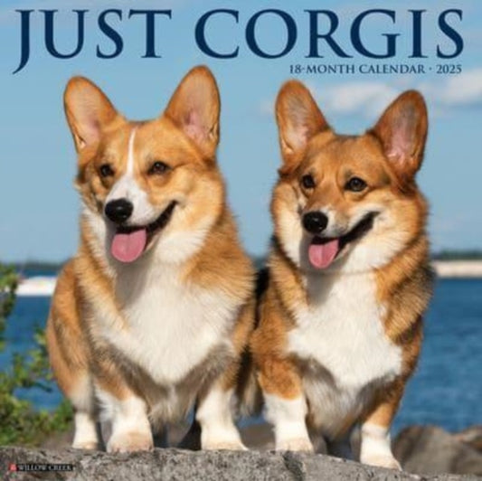 Just Corgis 2025 12 X 12 Wall Calendar-9781549242564