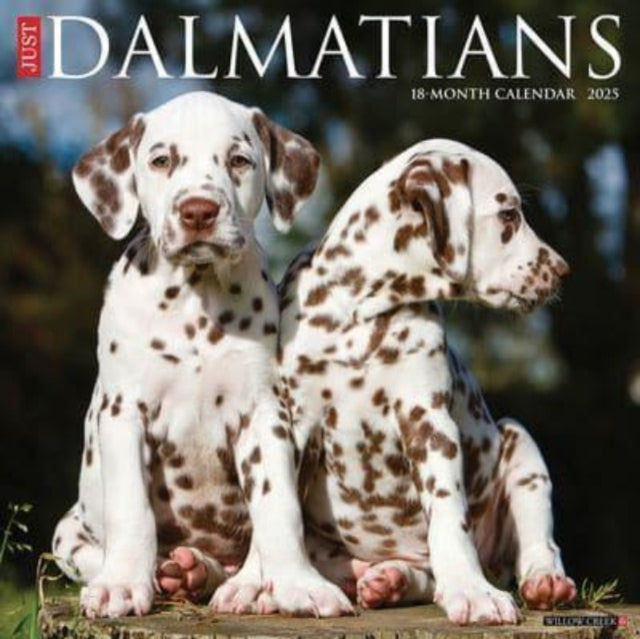 Just Dalmatians 2025 12 X 12 Wall Calendar-9781549242670