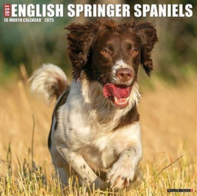 Just English Springer Spaniels 2025 12 X 12 Wall Calendar-9781549242823