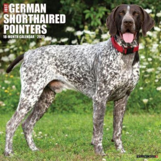 Just German Shorthaired Pointers 2025 12 X 12 Wall Calendar-9781549243035