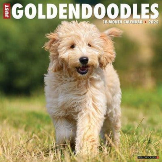 Just Goldendoodles 2025 12 X 12 Wall Calendar-9781549243127