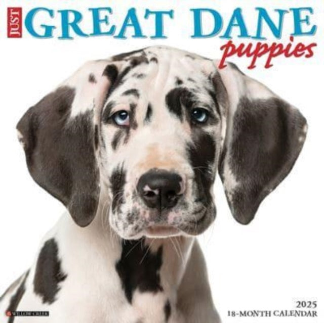 Just Great Dane Puppies 2025 12 X 12 Wall Calendar-9781549243189