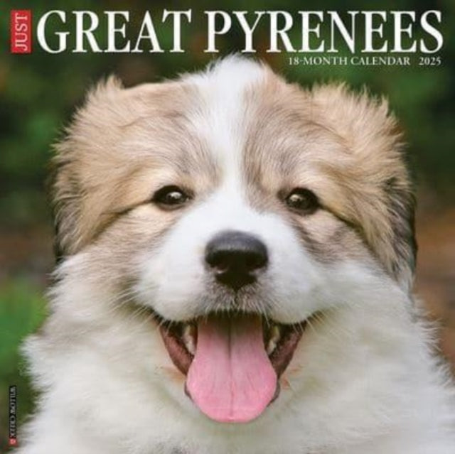 Just Great Pyrenees 2025 12 X 12 Wall Calendar-9781549243219