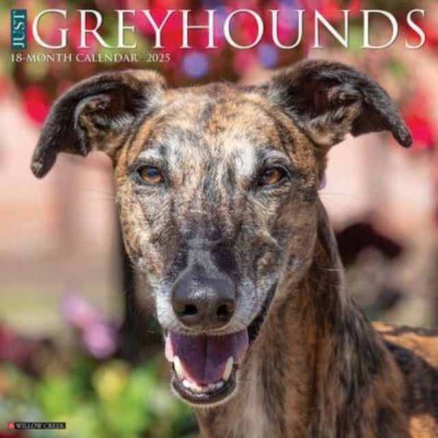 Just Greyhounds 2025 12 X 12 Wall Calendar-9781549243233