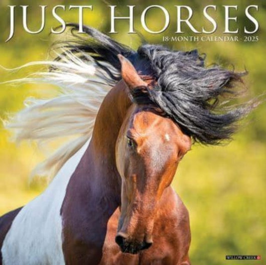 Just Horses 2025 12 X 12 Wall Calendar-9781549243387