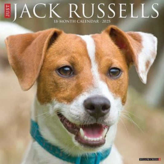 Just Jack Russells 2025 12 X 12 Wall Calendar-9781549243554