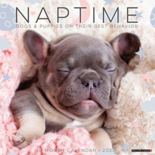 Naptime (Dogs & Puppies) 2025 12 X 12 Wall Calendar-9781549244100