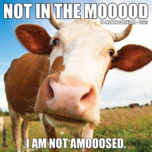 Not in the Mooood 2025 12 X 12 Wall Calendar-9781549244247