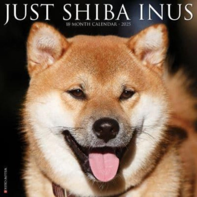 Just Shiba Inus 2025 12 X 12 Wall Calendar-9781549244858