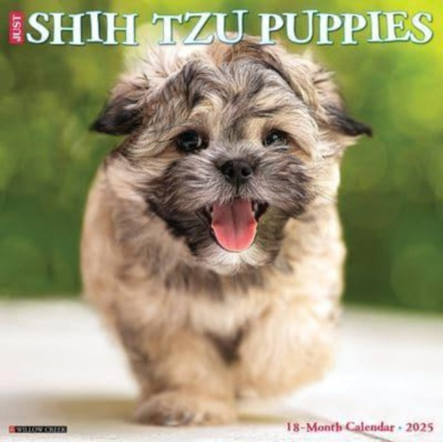 Just Shih Tzu Puppies 2025 12 X 12 Wall Calendar-9781549244865