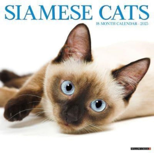 Siamese Cats 2025 12 X 12 Wall Calendar-9781549244889