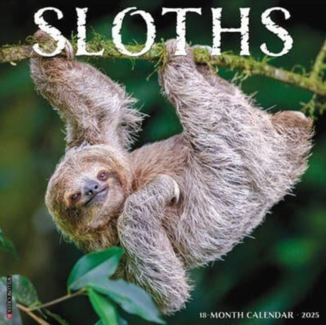 Sloths 2025 12 X 12 Wall Calendar-9781549244957