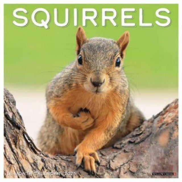 Squirrels 2025 12 X 12 Wall Calendar-9781549245015