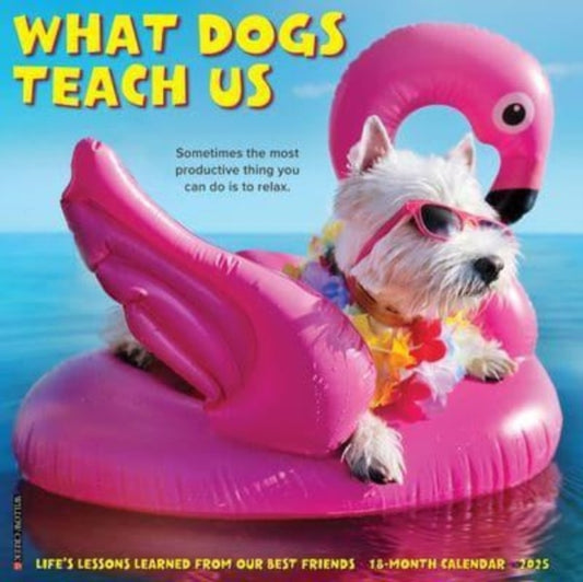 What Dogs Teach Us 2025 12 X 12 Wall Calendar-9781549245350