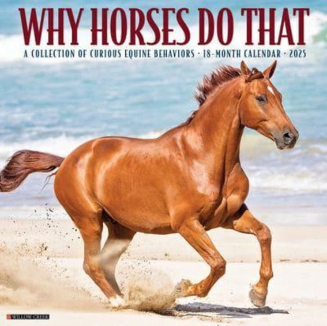 Why Horses Do That 2025 12 X 12 Wall Calendar-9781549245442