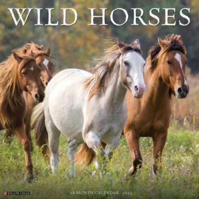 Wild Horses 2025 12 X 12 Wall Calendar-9781549245466