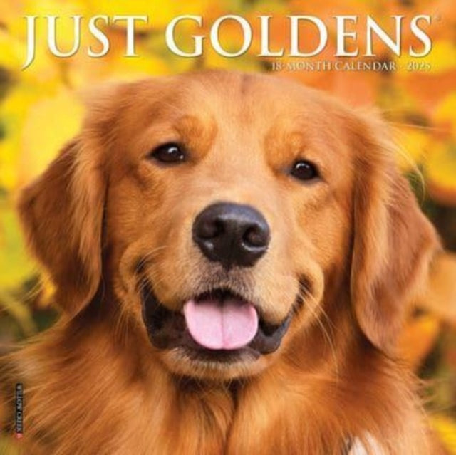 Just Goldens 2025 7 X 7 Mini Wall Calendar-9781549245794