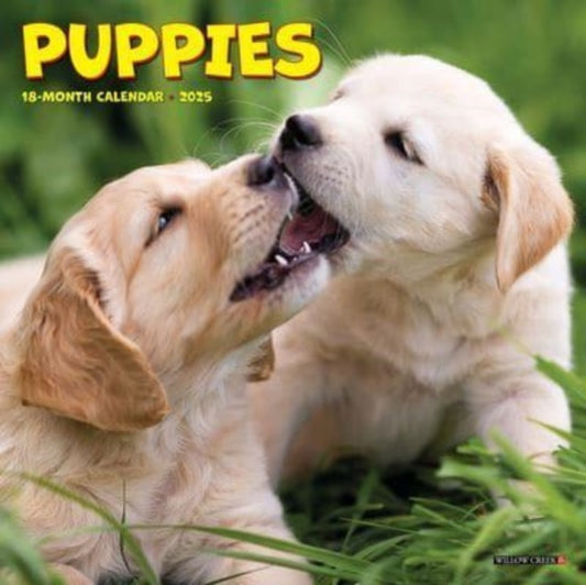 Puppies 2025 7 X 7 Mini Wall Calendar-9781549245862