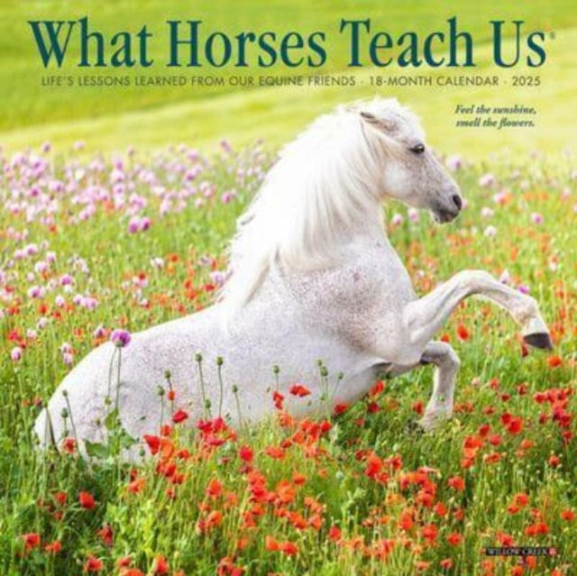 What Horses Teach Us 2025 7 X 7 Mini Wall Calendar-9781549246036