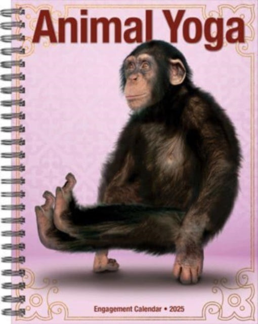 Animal Yoga 2025 6.5 X 8.5 Engagement Calendar-9781549246067