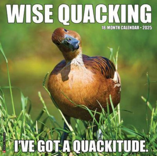 Wise Quacking 2025 12 X 12 Wall Calendar-9781549246371