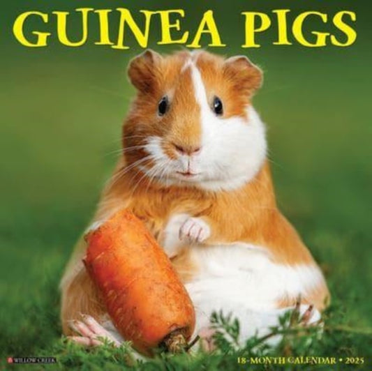 Guinea Pigs 2025 12 X 12 Wall Calendar-9781549246425