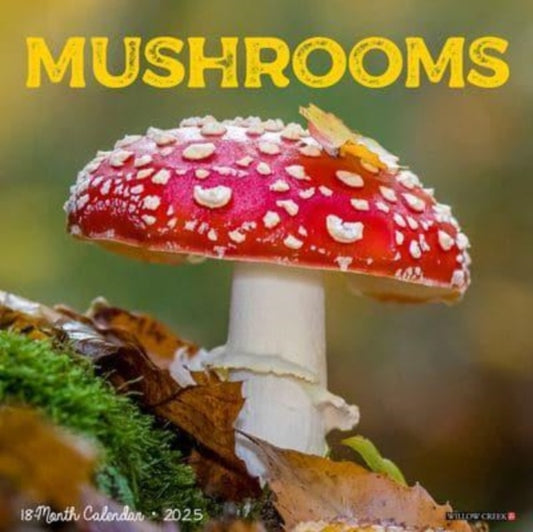 Mushroom (the Art of The) 2025 12 X 12 Wall Calendar-9781549246517