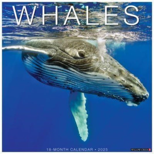 Whales 2025 12 X 12 Wall Calendar-9781549246654